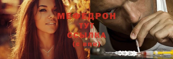 крисы Инта