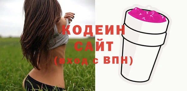 крисы Инта