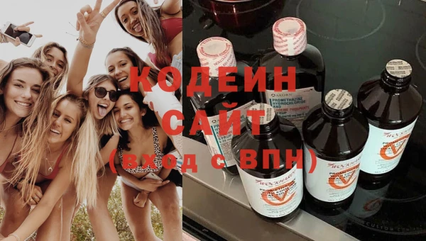 крисы Инта