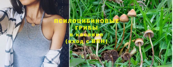 прущие крисы Инсар