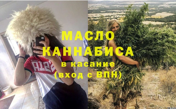 крисы Инта
