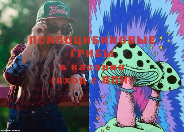 прущие крисы Инсар