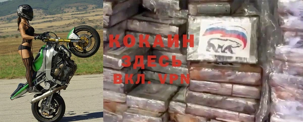 крисы Инта