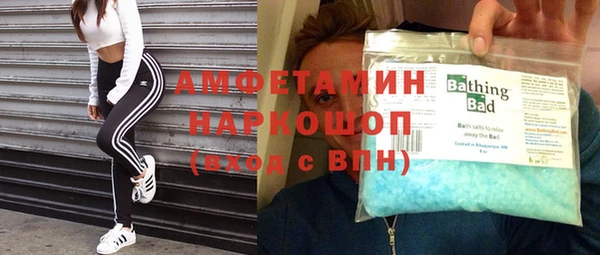крисы Инта