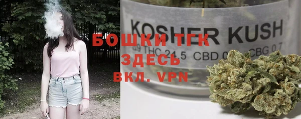 прущие крисы Инсар