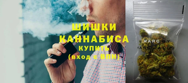 крисы Инта