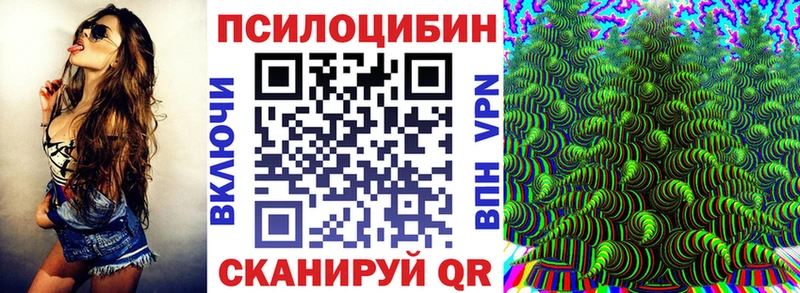 KRAKEN ТОР купить цена Мариинский Посад Псилоцибиновые грибы мухоморы
